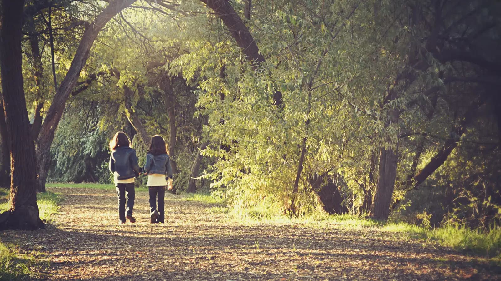 Dos niños caminan de espaldas por un sendero de bosque iluminado por el sol