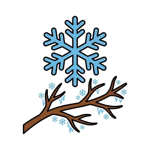 Pictograma de invierno