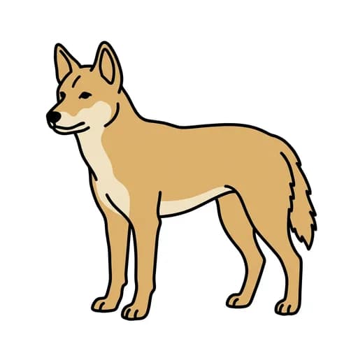 Pictograma de dingo