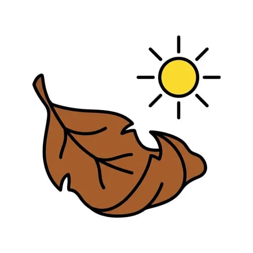 Pictograma de seco